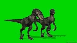 Velocirapor Dinosaurs - Green Screen - Free Use