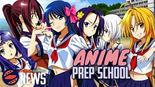 Winning Tournaments With Friendship?! - Anime Story Tropes