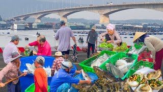 Xã Đảo Nằm Cạnh Thành Phố Vũng Tàucâu Đủ Loại Cá Ngon Làng Bè Quanh Đảo