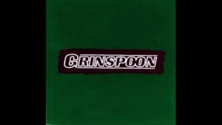 Watch Grinspoon Save Me video