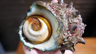 Japanese Street Food - TURBAN SHELL Barbecue & Sashimi Okinawa Seafood Japan