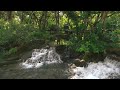 Light Instrumental Music - study, work, relax - N°106 (4K)
