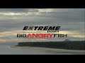 Big Angry Fish promo