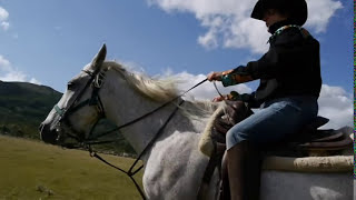 Watch Lynn Anderson Ride Ride Ride video