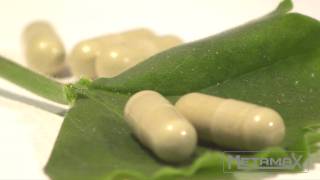What is Ginkgo Biloba?