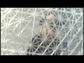 Sphere Represents Latest In Virtual Reality Technology
