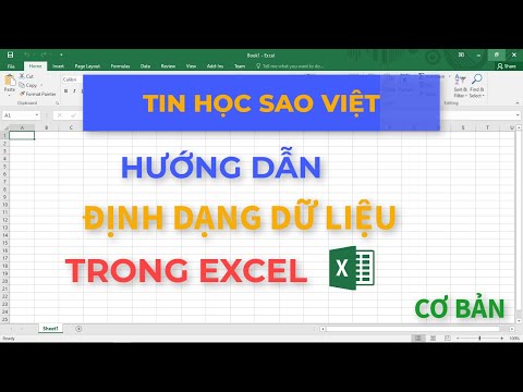 Hướng Dẫn Định Dạng Dữ Liệu Cơ Bản Trong EXCEL - Tin Học Sao Việt