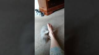 Kiki Playtime With Grandma Feet