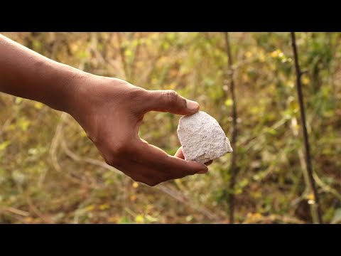 Experiment: Calcium Carbonate VS Water Experiment | CACO3 Experiment | Experiment With Chemical Rock