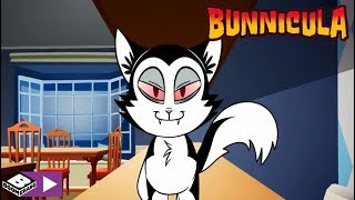 Chat-Aclysme Bunnicula Boomerang