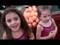 shaytards