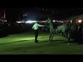 FERIA 14 DE NOVIEMBRE 2014 EN SANARATE EL PROGRESO