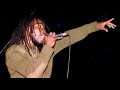 Bushman - Cannabis