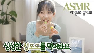 これAsmrもなくモクバンもなく...もう満腹と...ちょうど私を見たいと思うかと思って上げるのこぎりアセンブリと爽やかなチョンポド食べる Goodbye 2020