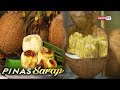 Pinas Sarap: Winning dishes sa 2019 Niyogyugan Festival Coconut Cooking Contest