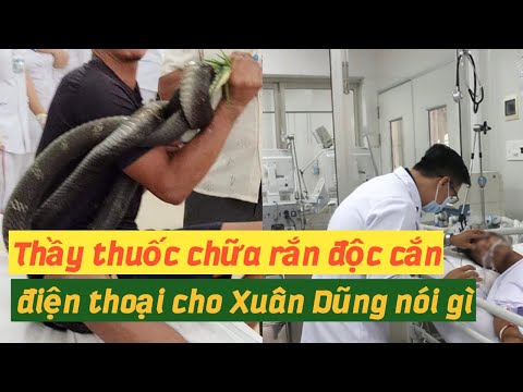 Thầy chữa rắn cắn ở Đắc Lắc nói gì về người bị rắn độc cắn.