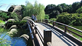 Shinjuku Gyoen - Japanese Park, Tokyo ?? ? ???? (Early Autumn 2015)