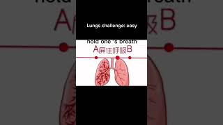 Lungs Challenge: Easy Level