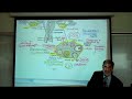 lutenizing hormone