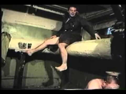Зеленый слоник частушки Зеленый слоник частушки