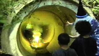 Watch Brokedowns Wizard Symptoms video