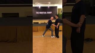 Tai Chi Form Applications Demonstrated By Master Richard Huang