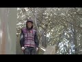 Tree - Karma Police