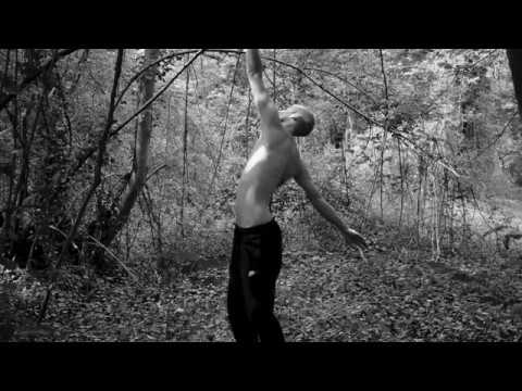 Toutes les vidéos