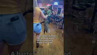 Possum Queen Bravely Removes A Rogue Possum From A Bar In Texas