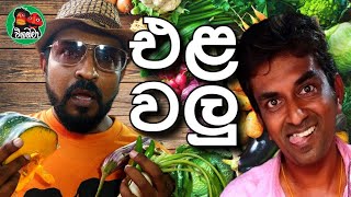 Vigadama | Vegetable / Sri Lankan Sketch Comedy