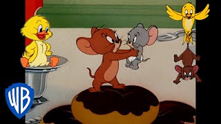 Tom & Jerry Em Português 🇧🇷 | Brasil |Os Melhores Aliados De Jerry 🐭 | @Wbkidsbrasil​