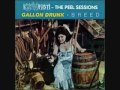 Gallon Drunk: Ruby - The Peel Sessions