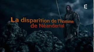 La Disparition De Lhomme De Néandertal - Le Stress Lié À Lhomme Moderne?