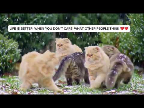 Happy #cute #lifehacks #like #subscribe#shorts