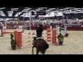 Gina-Ayleen Wollnik: Pappas Amadeus Indoor Salzburg 2012