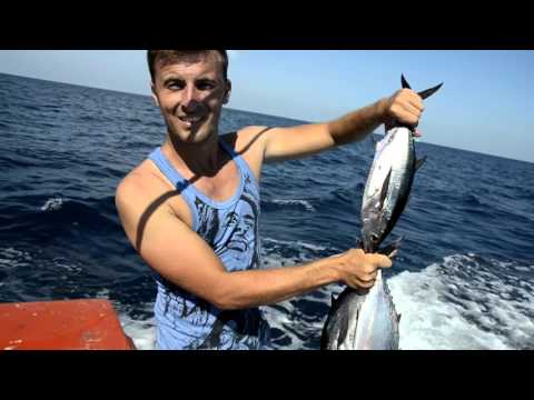 тайланд рыбалка тунец тайланд рыбалка тунец