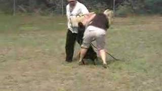 Donovan Pinscher K9Control