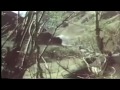 Afghan war