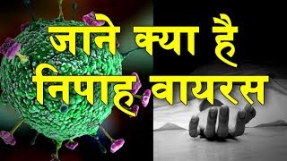 What is Nipah Virus | News in Science | Science News | निपाह वायरस