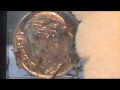 Mosquito Larvae Look Like this