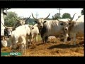A vidék élni akar - Echo Tv