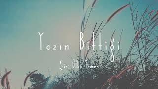 Yazın Bittiği, Ülkü Tamer Seslendirme Mazhar Alanson