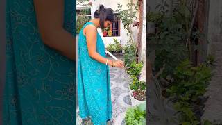 Husband क य बहत पसद ह तभ त House Cleaning Vlog Indian Mom Saree Indian Vlog
