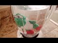 Yoshi