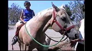 Seth At 6 As A Stuntman