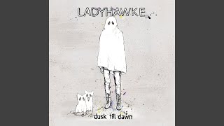 Dusk Till Dawn (Simon & Shaker Remix)