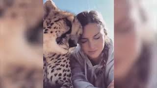 Funny Cute Cats And Dogs 2019 😍😍😍
