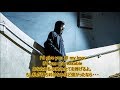 洋楽 和訳 Alan Walker - Diamond Heart ft. Sophia Somajo
