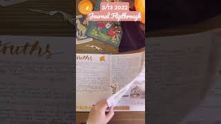 February In My Bullet Journal 2022 Journal Flip Through Part 313