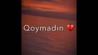 Silinib Getdi Adın